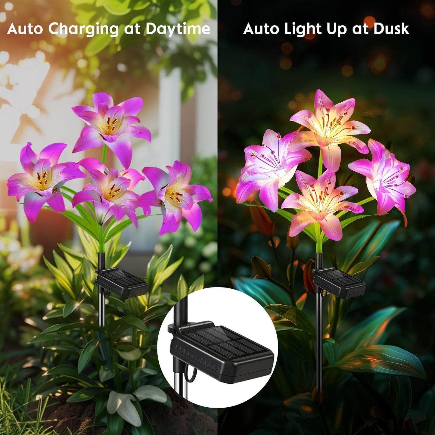๐ Solar-Powered Blooming Lily Flowers Lights