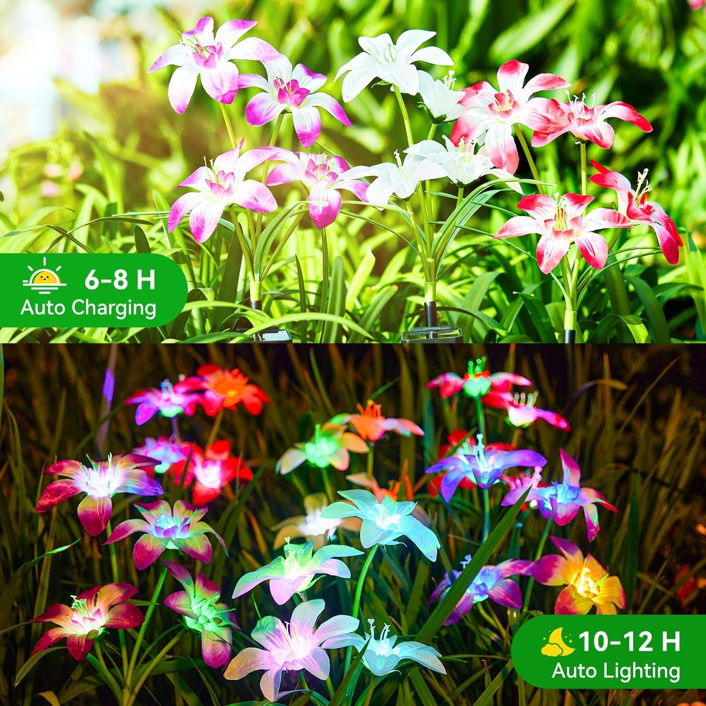 ๐ Solar-Powered Blooming Lily Flowers Lights