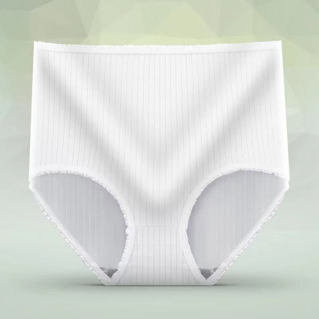 Waterproof And Antibacterial High Waisted Briefs