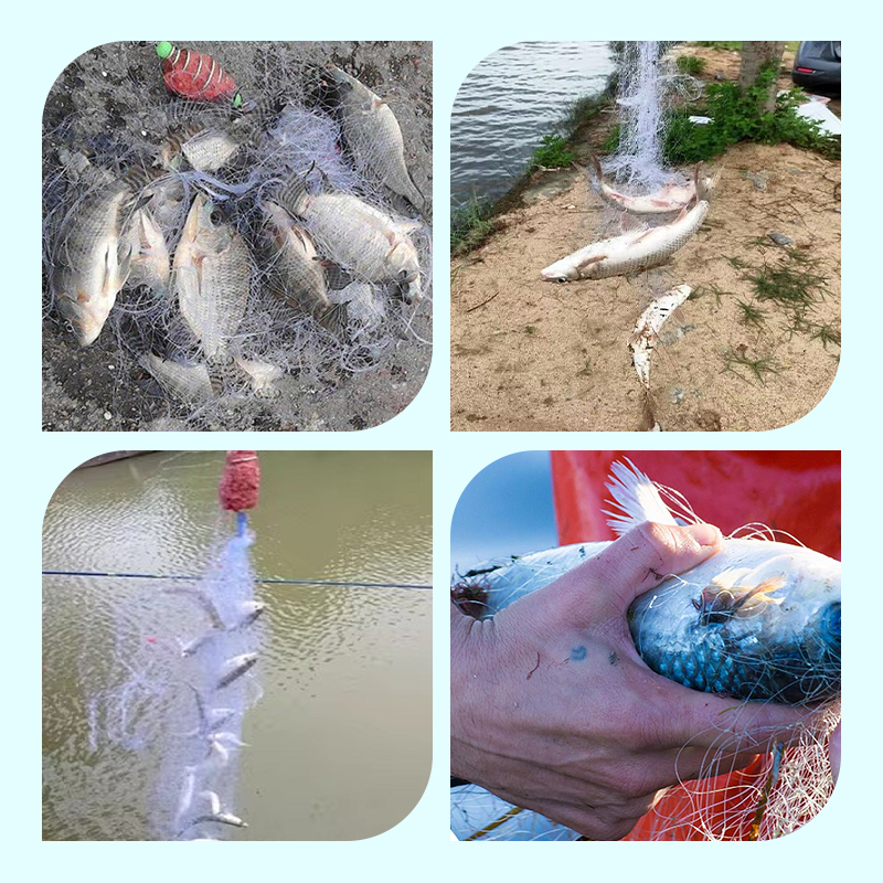 š„2025 Hot Saleš„Fishing Gill Net with Spring Bait Trap