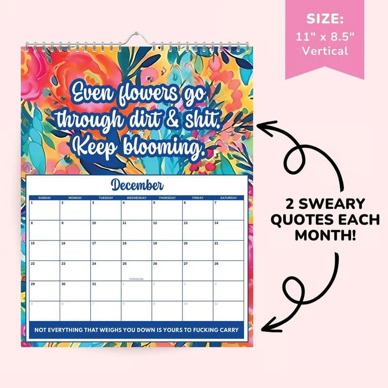 📅 2027 Sweary Humor Wall Calendar