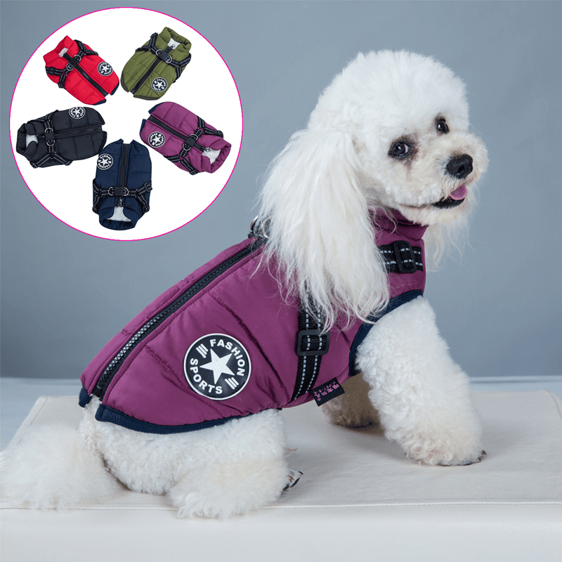 🐶3 in 1 Winter Waterproof Warm Dog Jacket With Built-in Harness