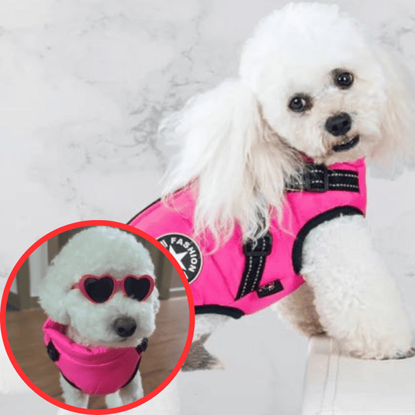 🐶3 in 1 Winter Waterproof Warm Dog Jacket With Built-in Harness