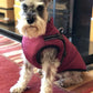 🐶3 in 1 Winter Waterproof Warm Dog Jacket With Built-in Harness