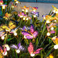 Solar Outdoor Waterproof Butterfly Ground Plug Light
