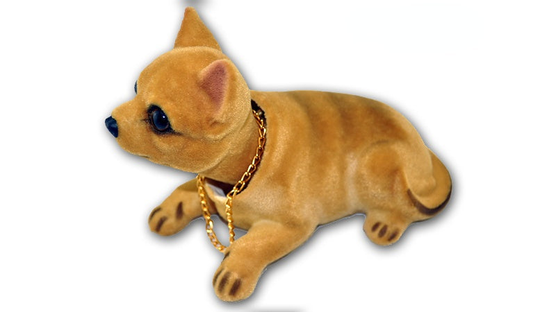 🐶 Charming And Dominant Dog With A Shaking Head