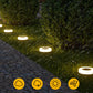 💥Solar Outdoor Lawn Lights