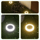 💥Solar Outdoor Lawn Lights