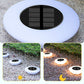 💥Solar Outdoor Lawn Lights