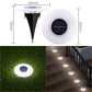 💥Solar Outdoor Lawn Lights