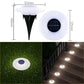 💥Solar Outdoor Lawn Lights