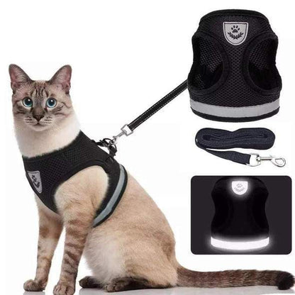Adjustable Breathable And Light-up Harness and Leash Set for Pets