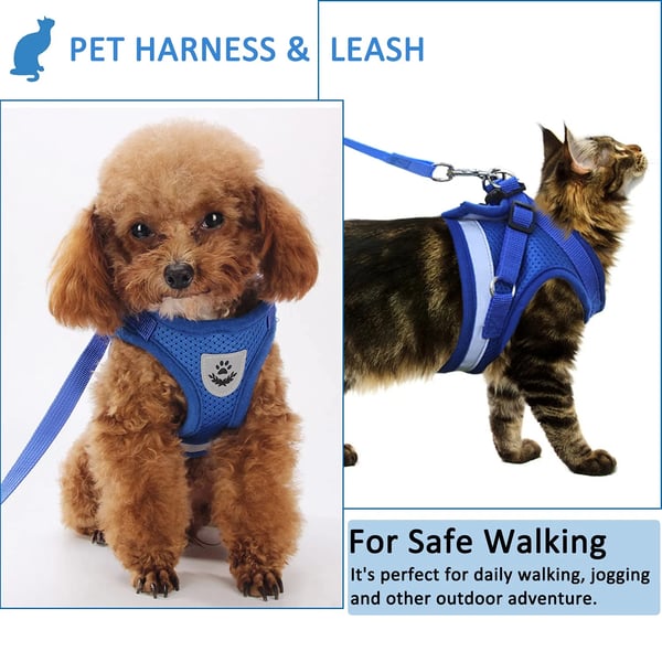 Adjustable Breathable And Light-up Harness and Leash Set for Pets