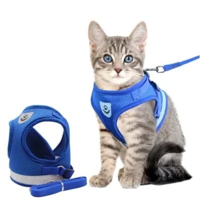 Adjustable Breathable And Light-up Harness and Leash Set for Pets