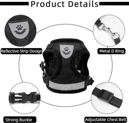 Adjustable Breathable And Light-up Harness and Leash Set for Pets
