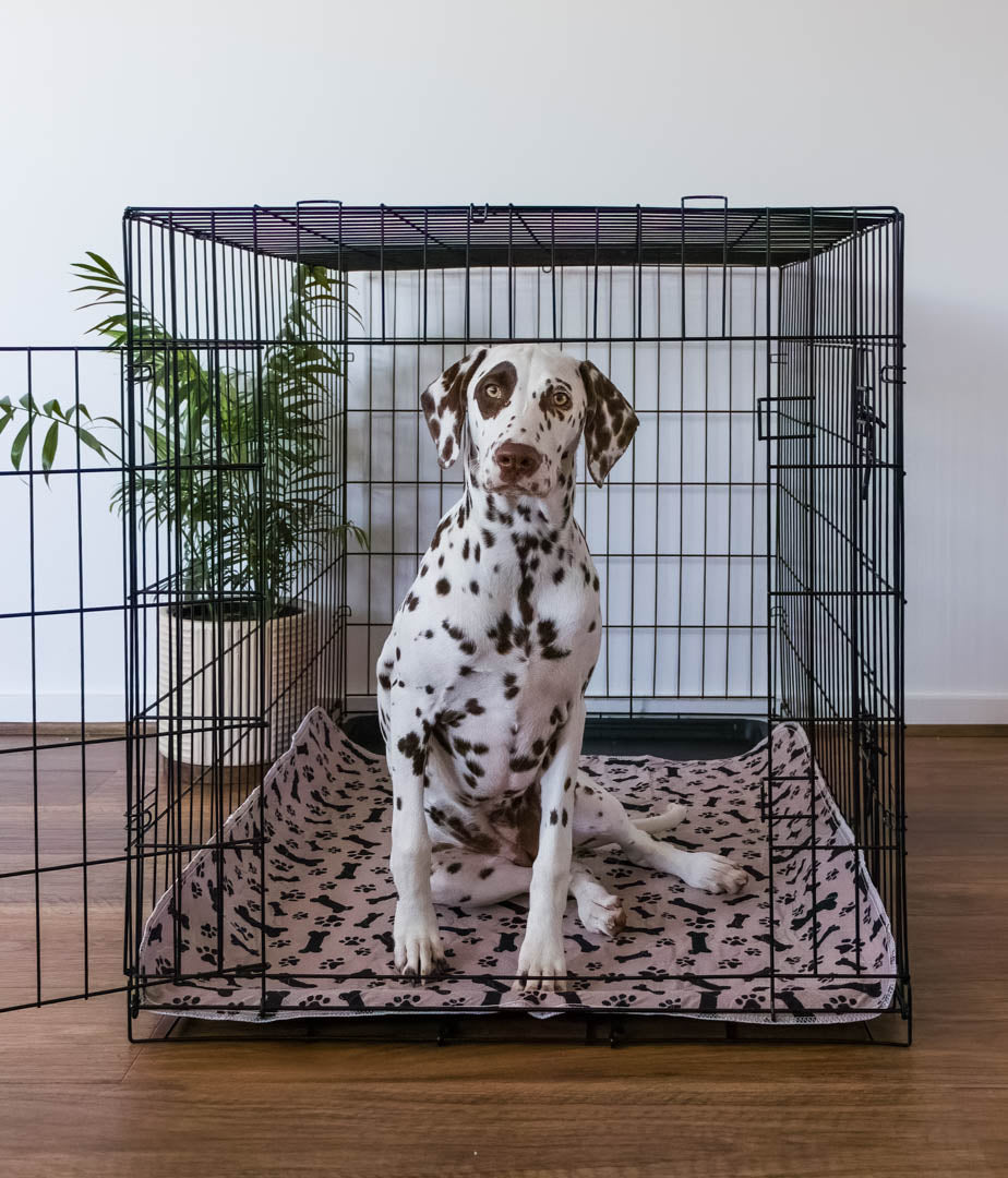 🐶😸Premium Reusable Super Absorbent PuppyPad🐾 (Kitten & Other Pets)