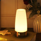 Wireless Motion Sensor LED Table Lamp