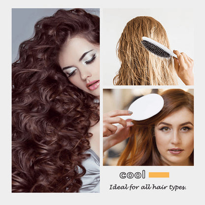 Anti-Static Air Cushion Detangling Brush- Smoother, Stronger, Shinier Hair - Boar Bristle Brush