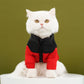 Warm Jacket with Zipper for Dogs & Cats