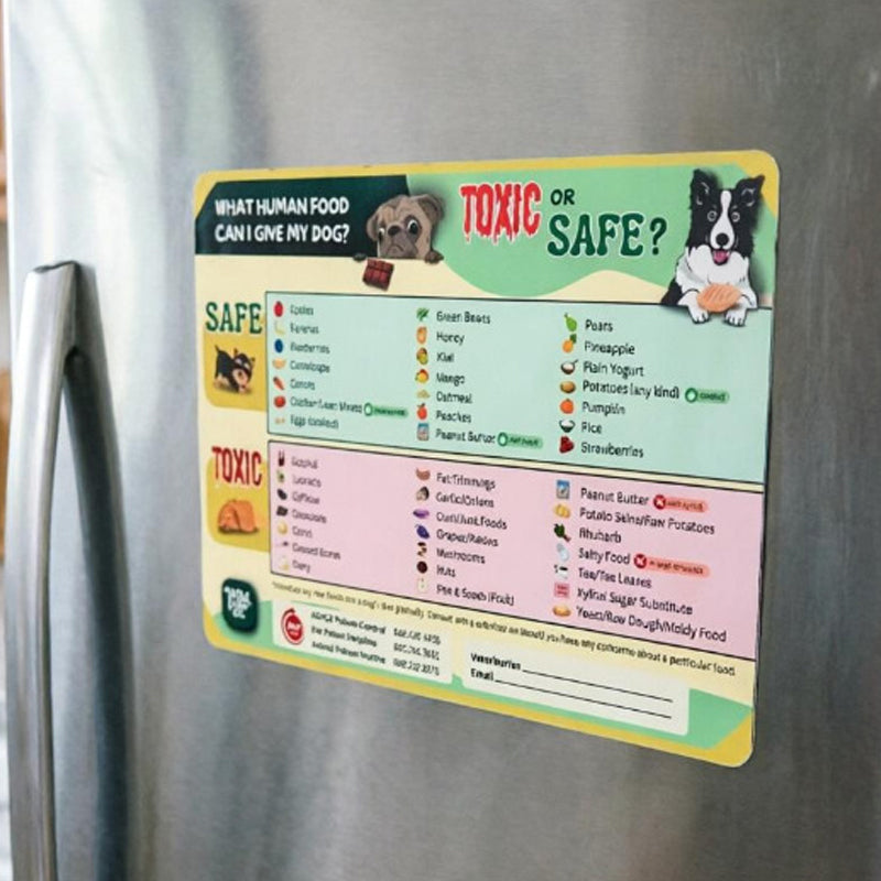 Cat Food Safety Guide Magnet