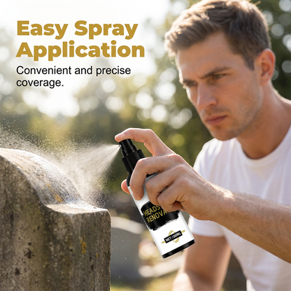 Stone Monument Cleaner & Renovator Spray