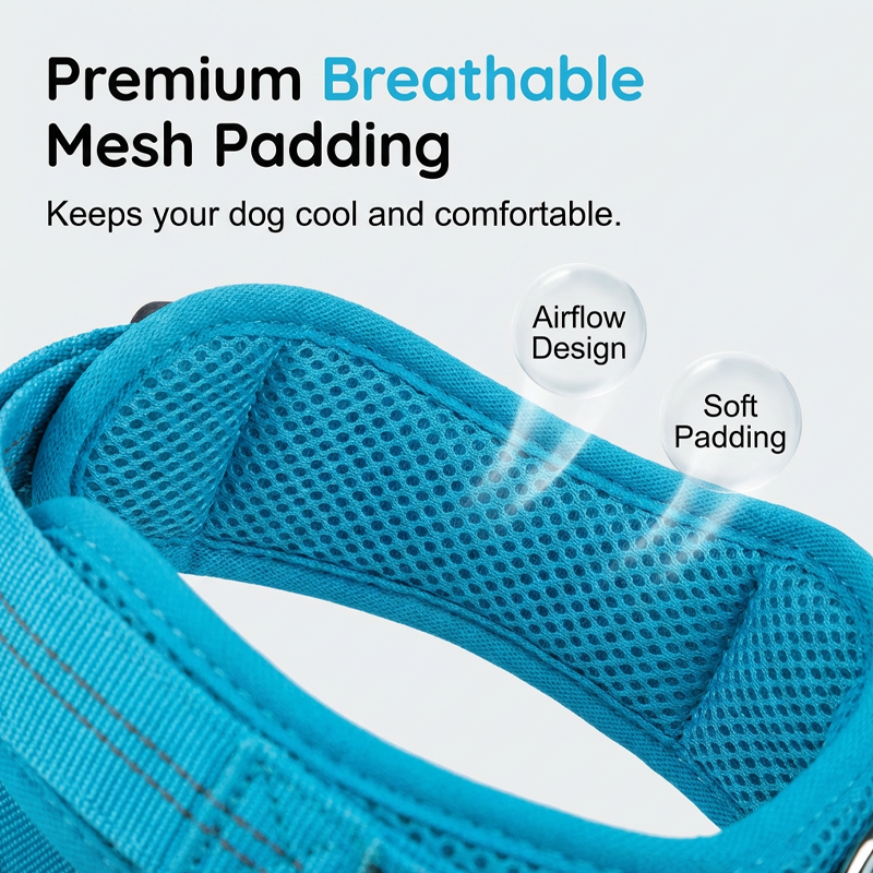 🐶 Easy On-Off Padded Dog Harness for Walking