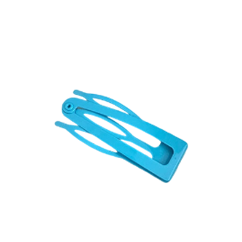Minimalist BB Snap Hair Clip for Women